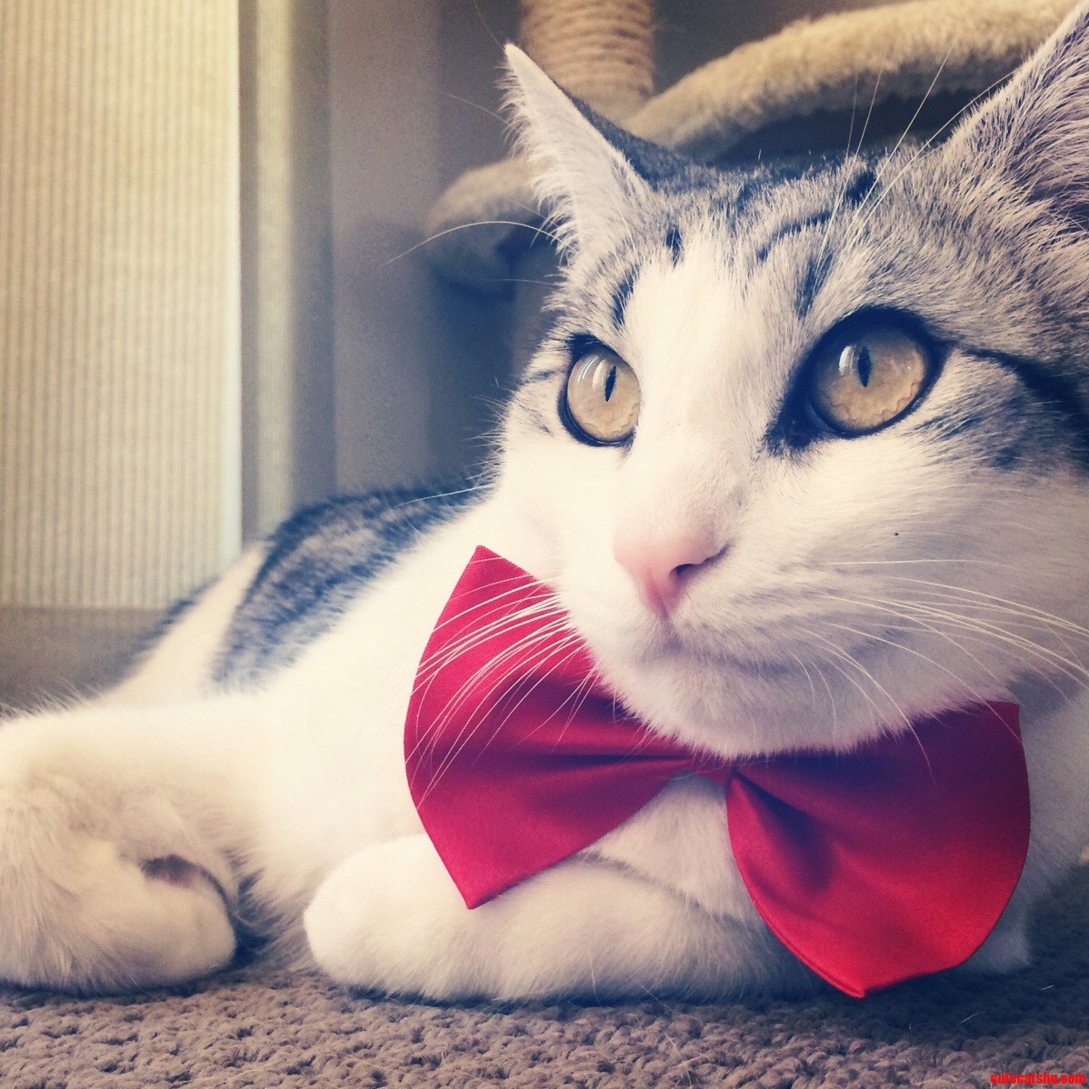 My Handsome Man