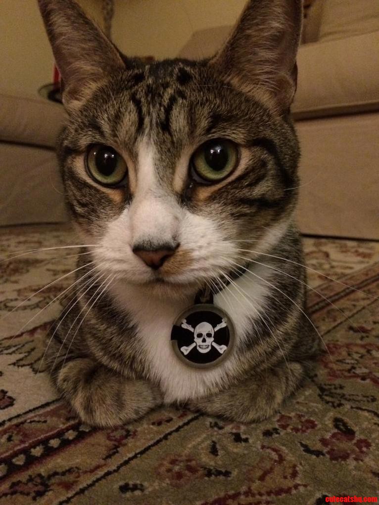 My Handsome Young Man Cinco