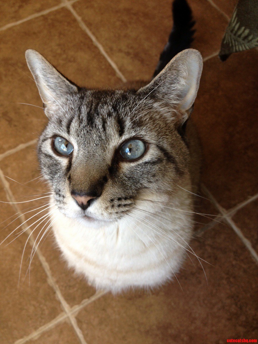 My Little Boy. His Name Is Yoda