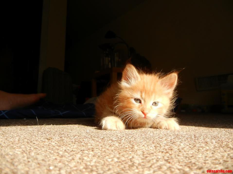 My Son Bean As a Babe