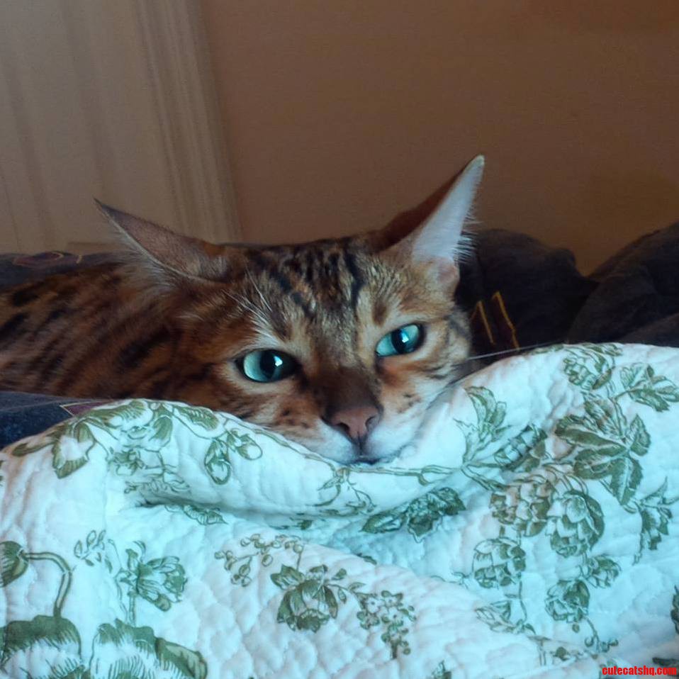 My Sweet Boy Roland