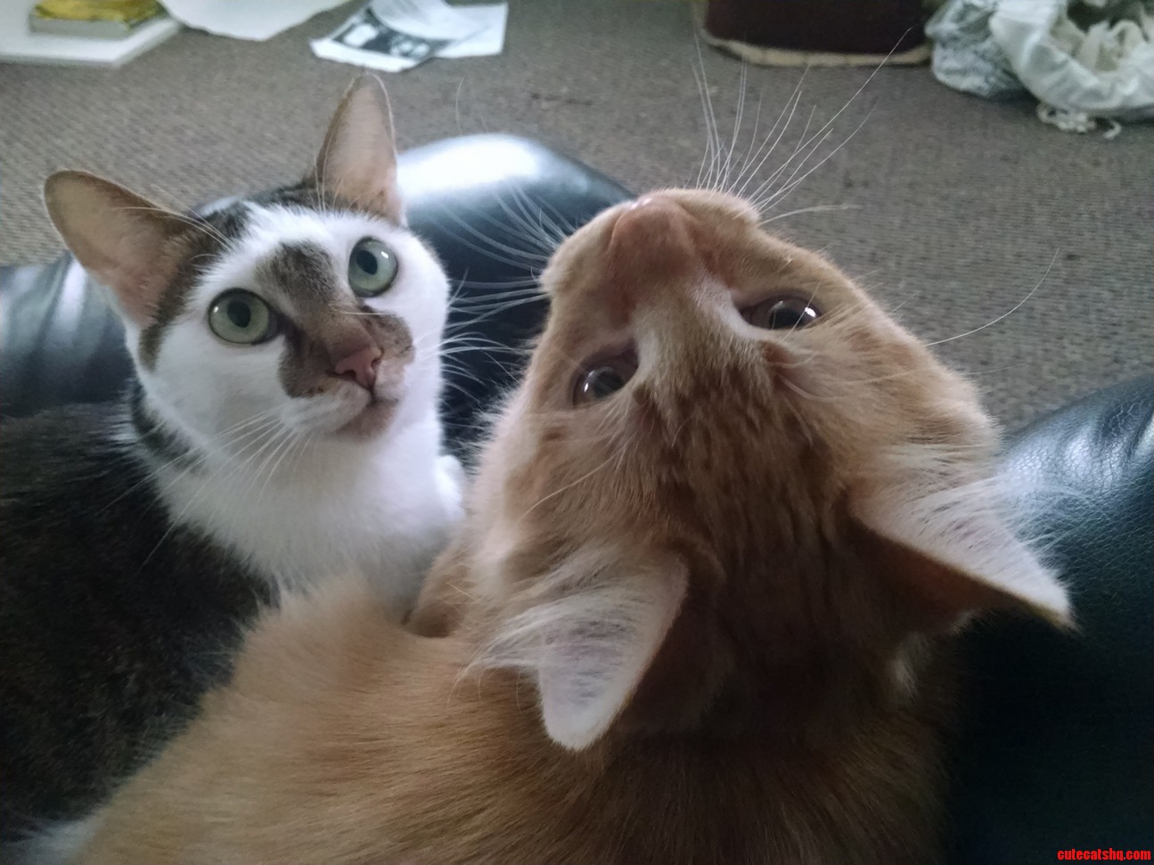 My Two Boys Snuggling.
