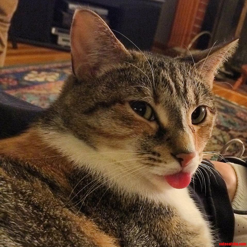 Nala Being Nala.