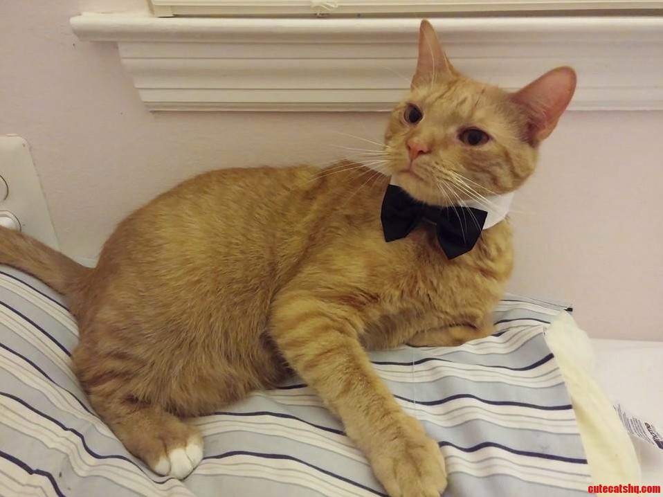Nemo Is Single and Ready to Mingle