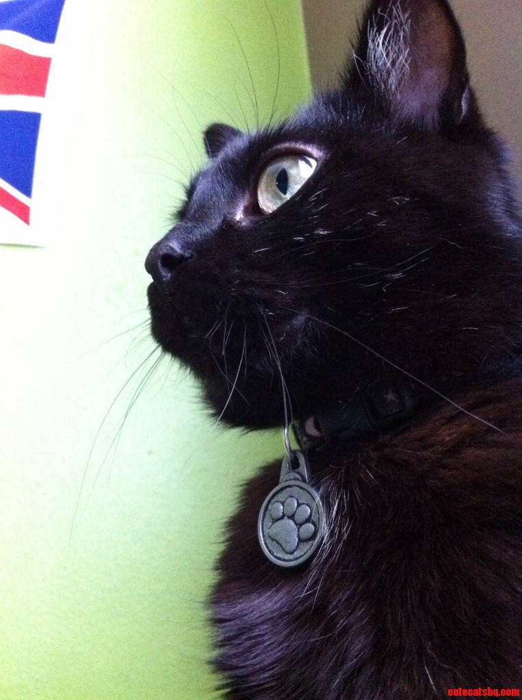 Ninja Being Beautiful