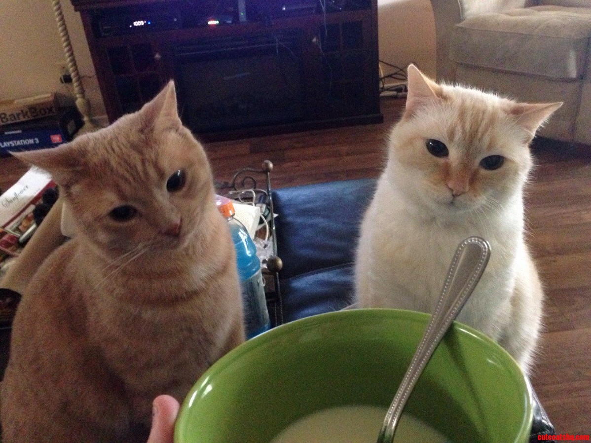 No Cereal Is Safe Here.