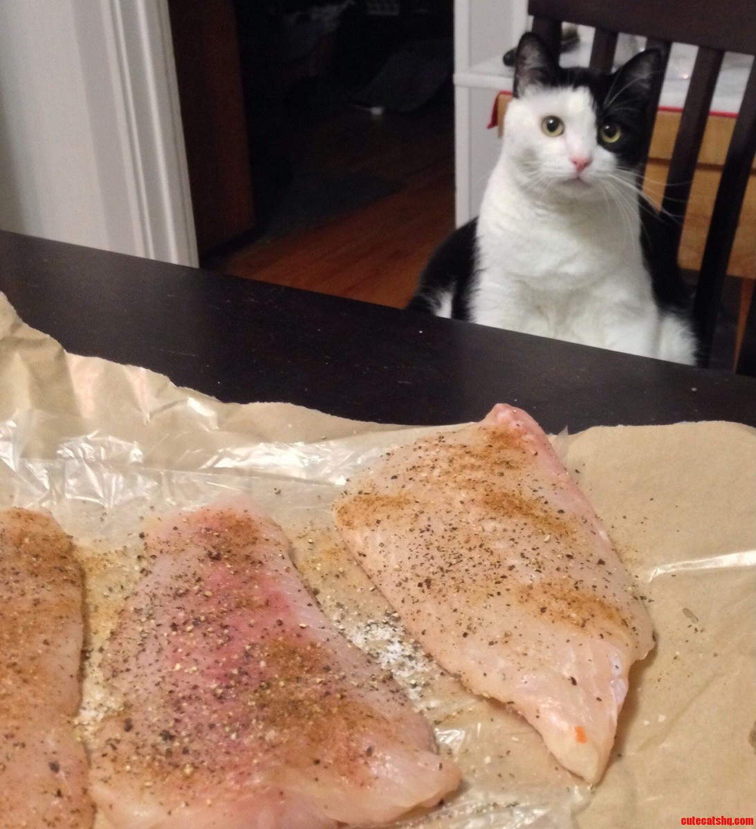 No Fish for You.