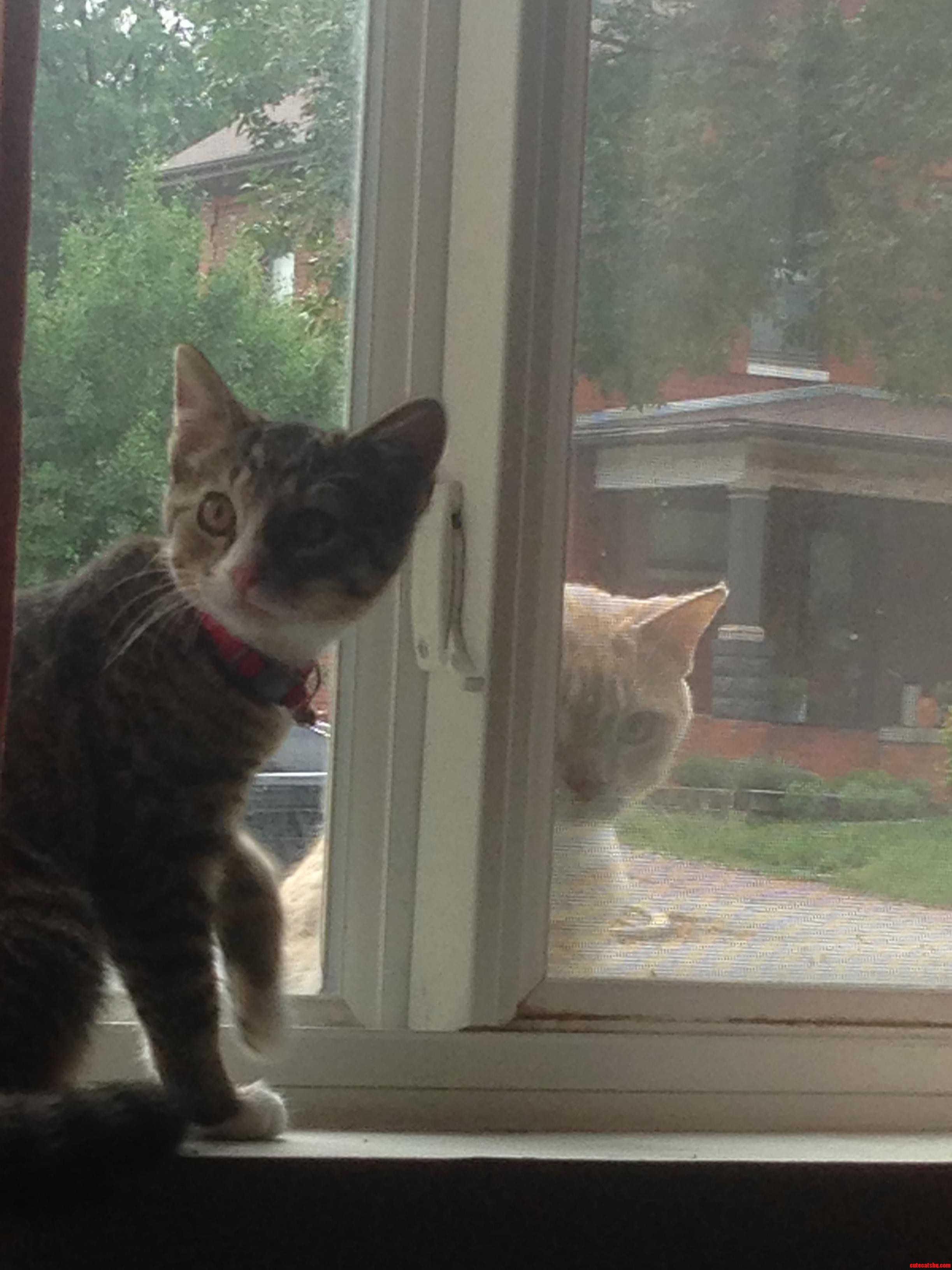 Now She Is Afraid to Go Outside