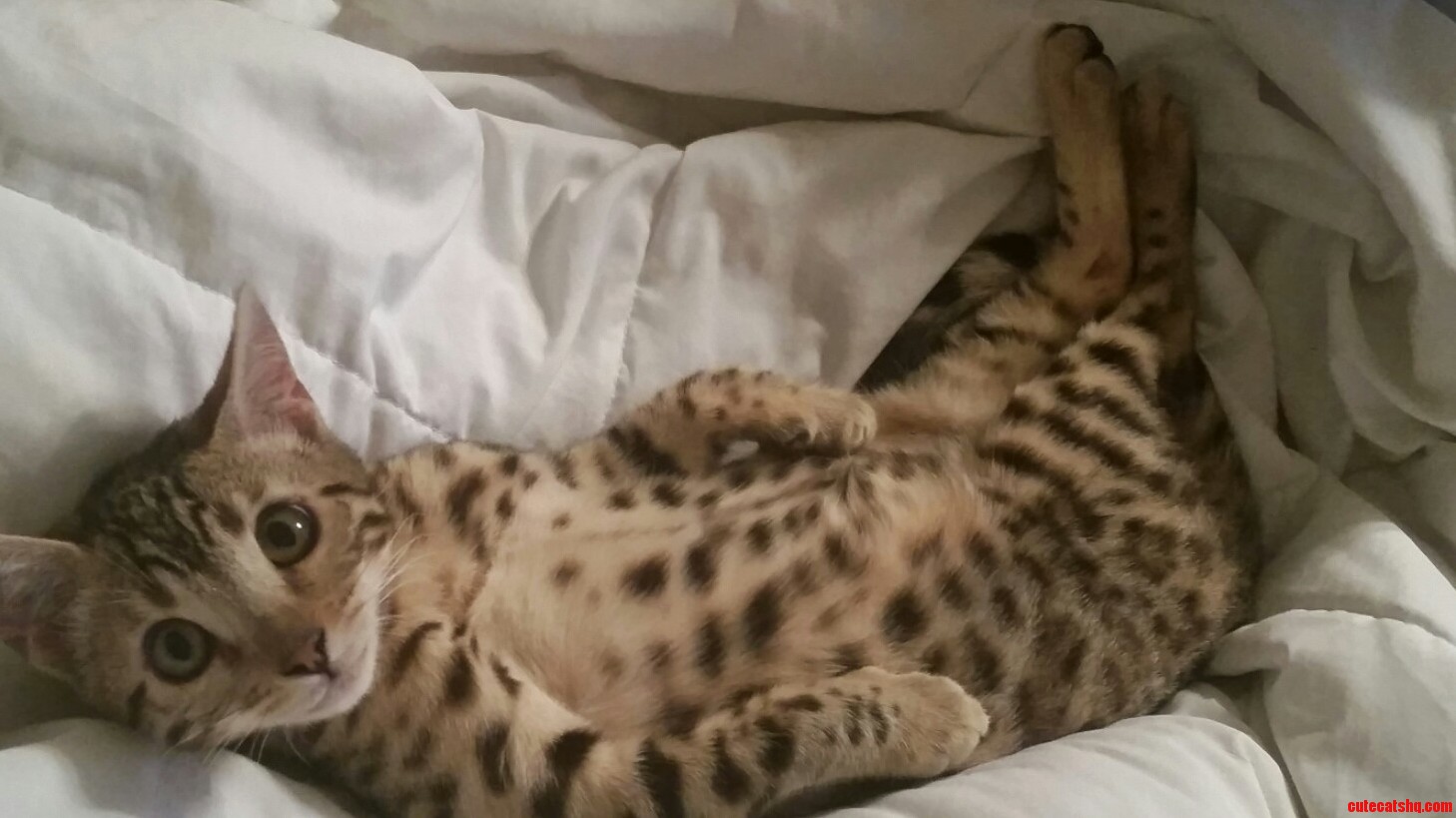 Paint Me Like One of Your French Girls.