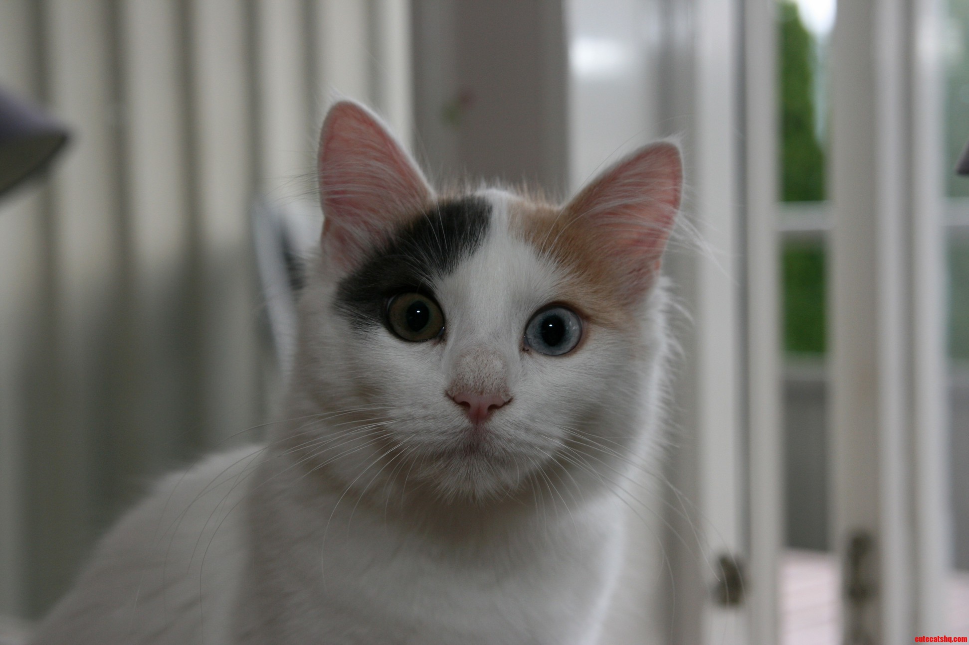 Petra Is Fascinated by the Camera.