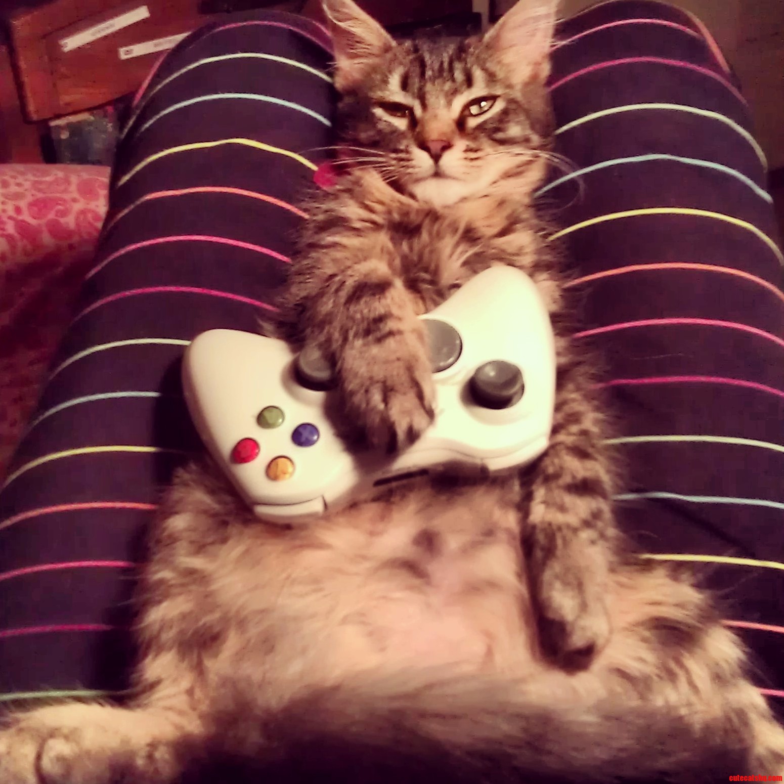 Player Two Has Joined the Game..