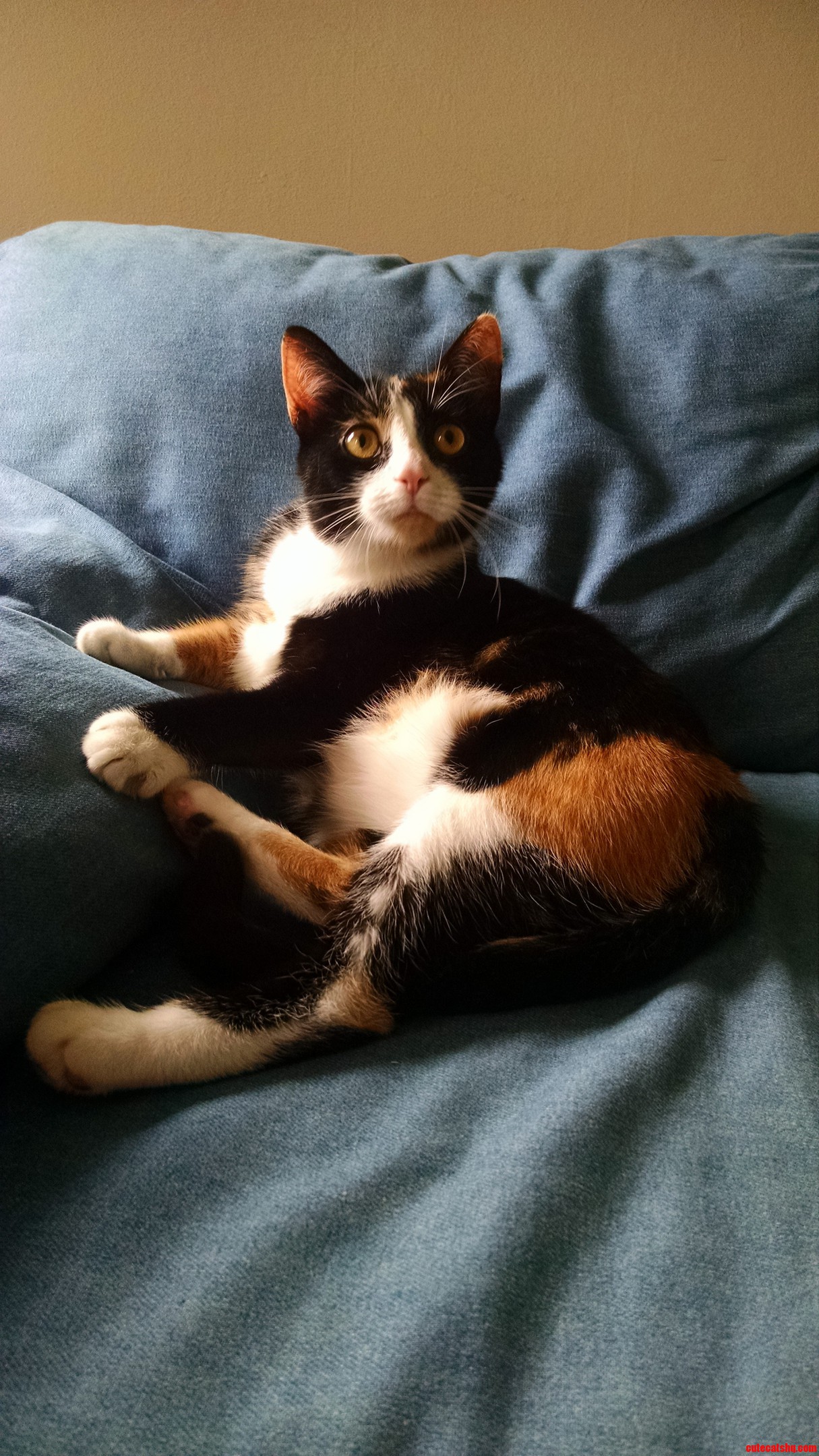 Ritzy Looking Like a Classy Lady As Usual