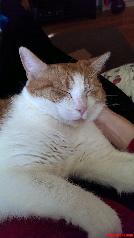 Rory Loves to Cuddle.