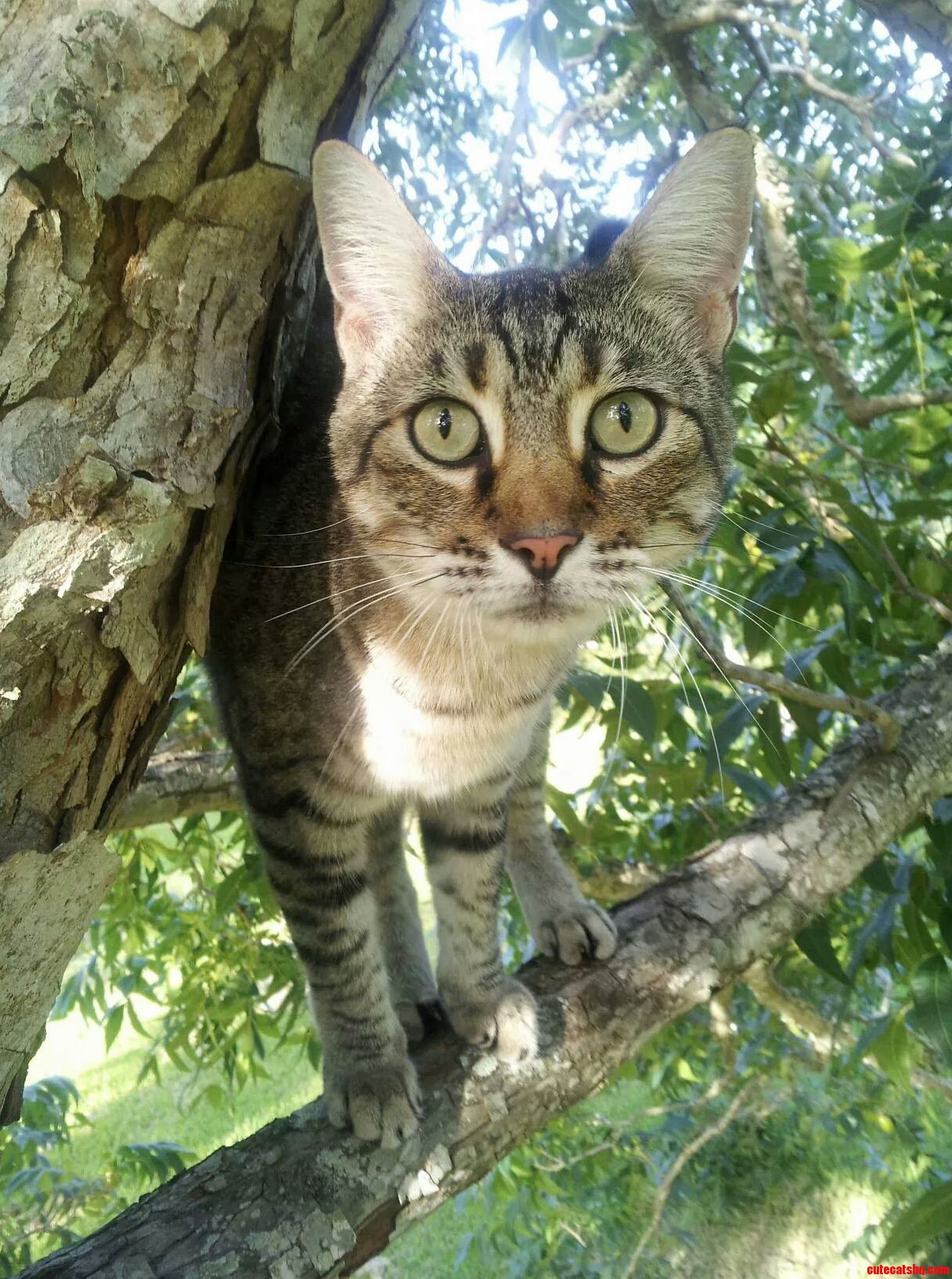Say Hi to Serendipity