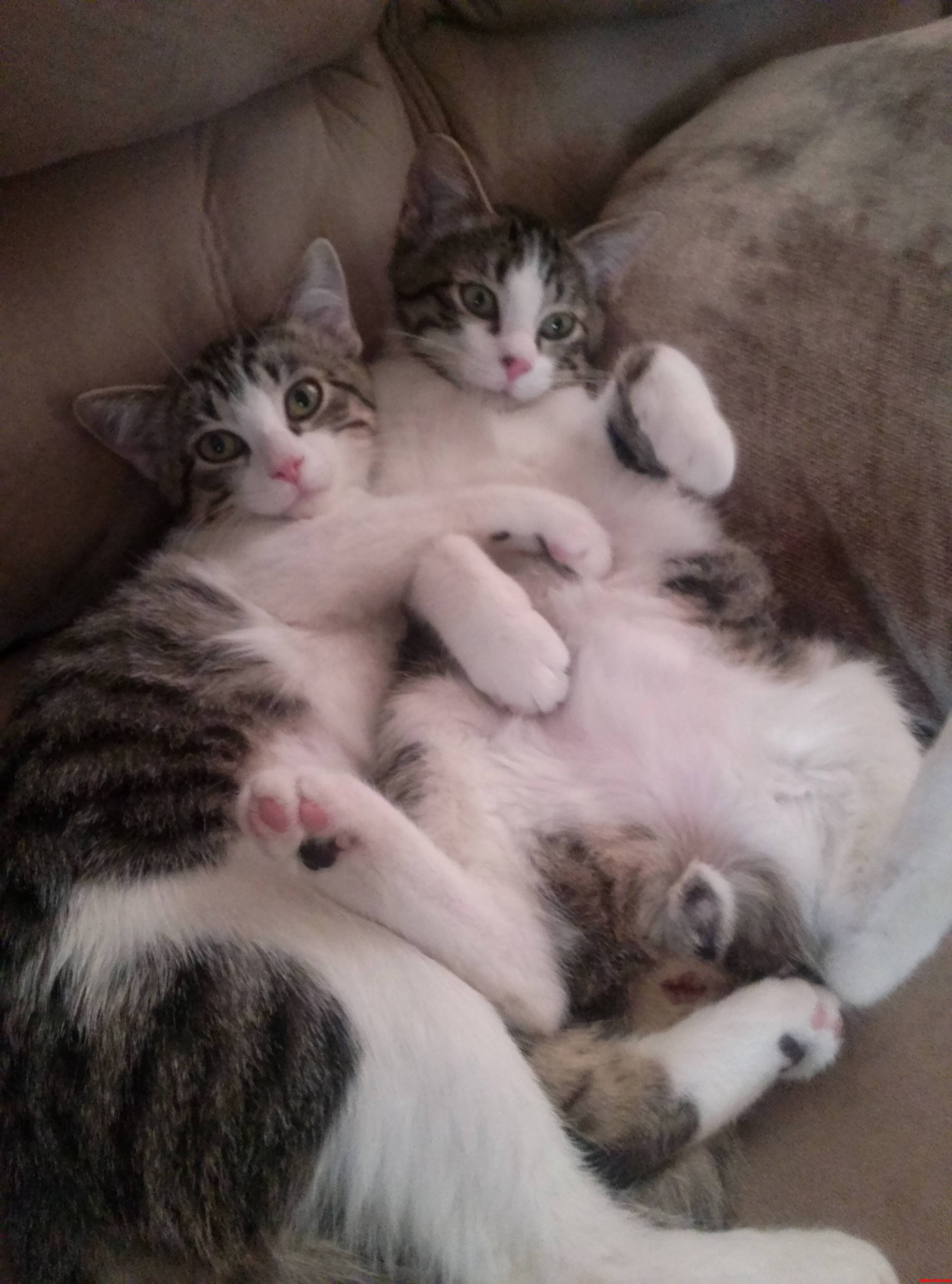 Seeing Double Has Never Been So Awesome