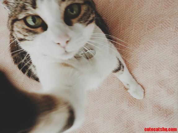 Selfie