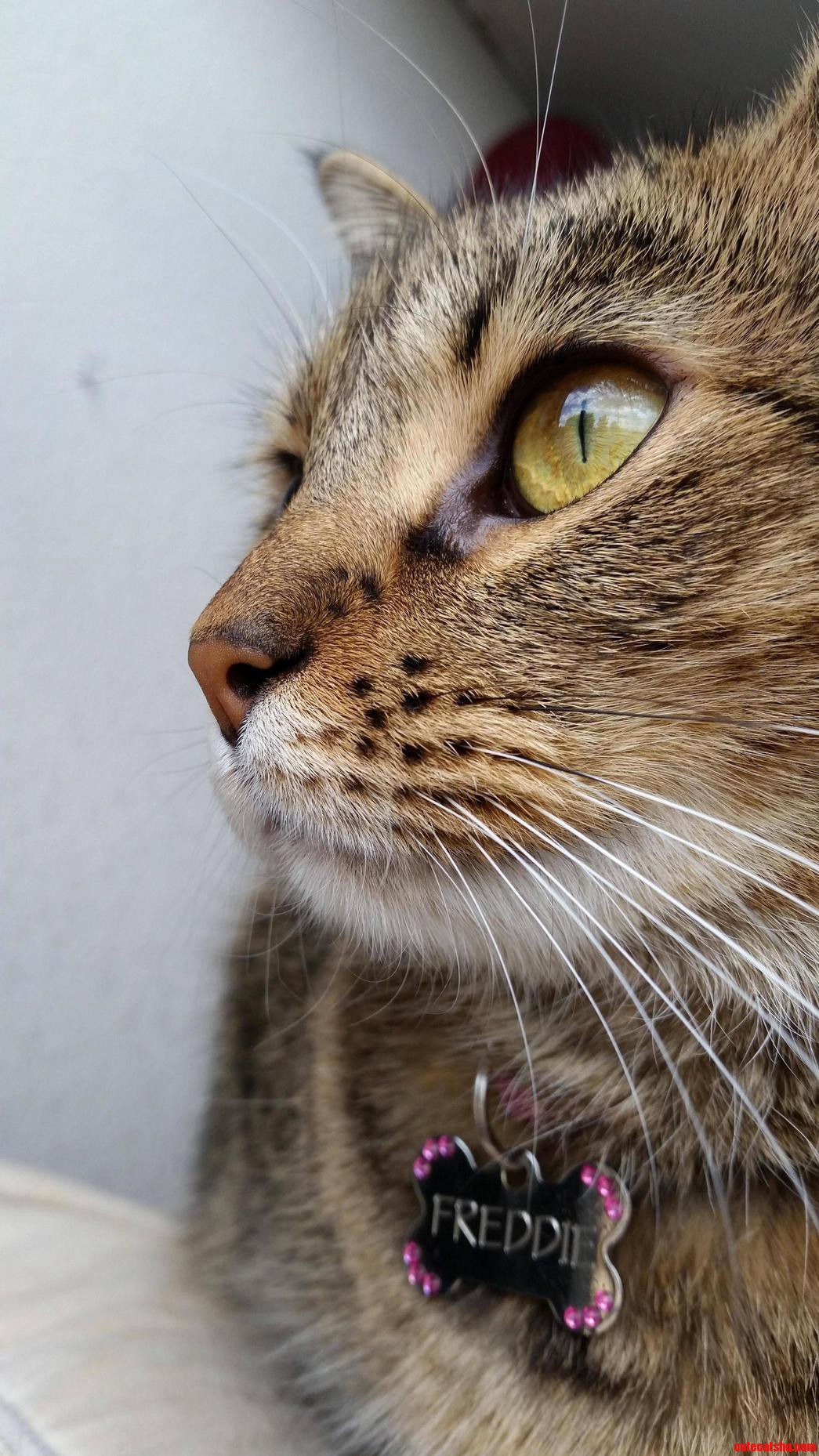 She Enjoys Posing for Pictures