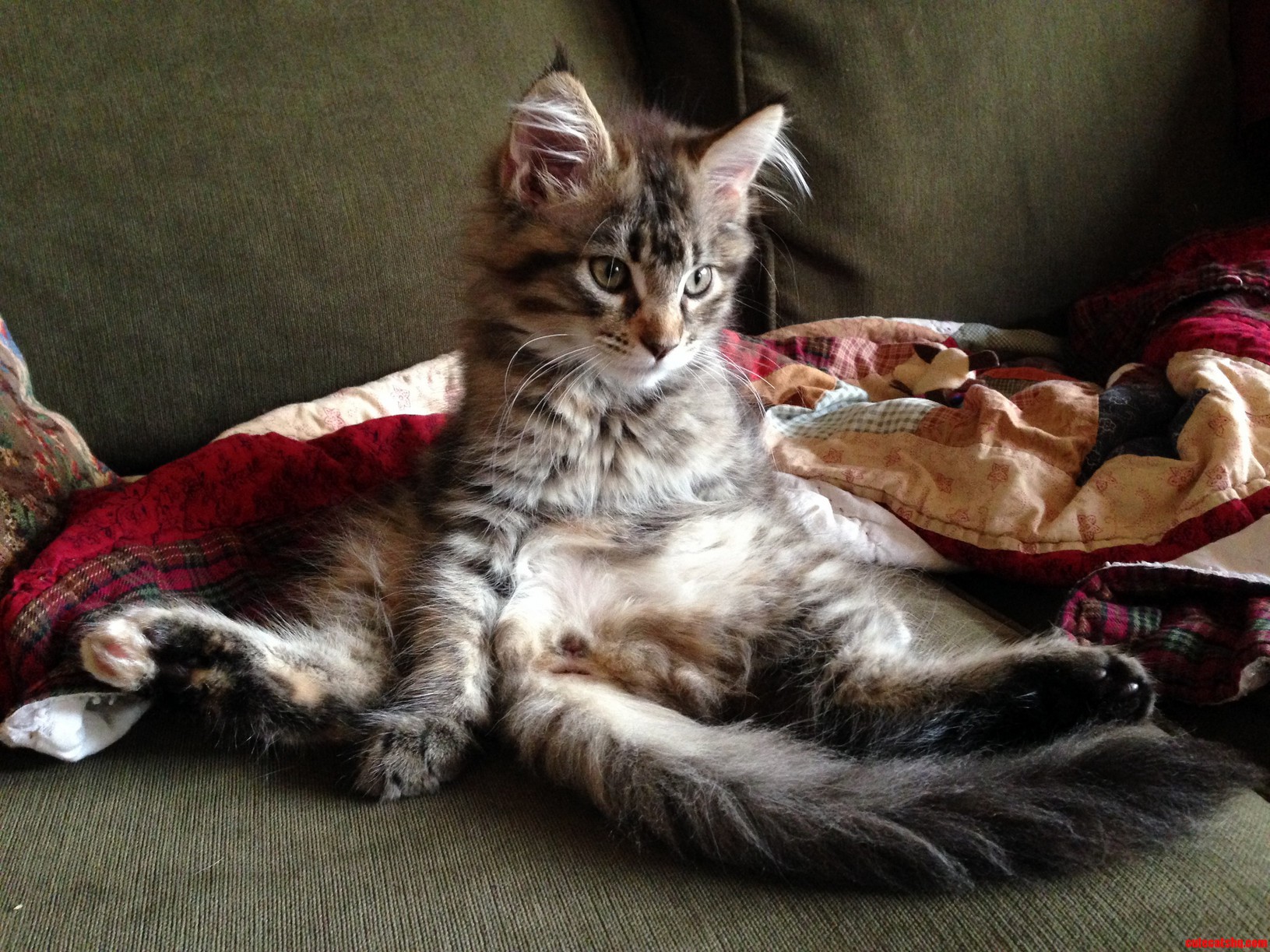 She Is Such a Lady.