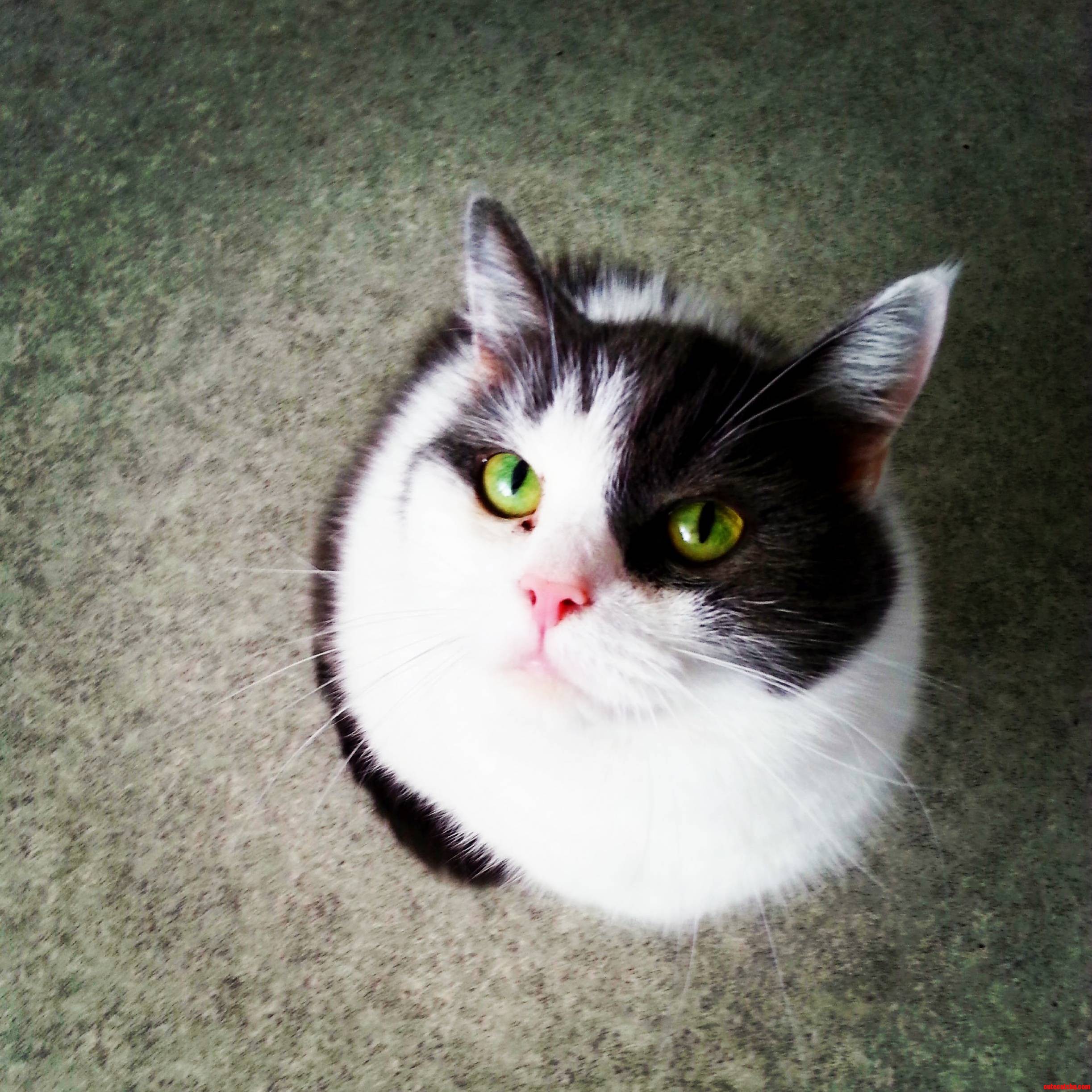 She Loves It When I Get Home I Was Only Gone for a Couple of Hours