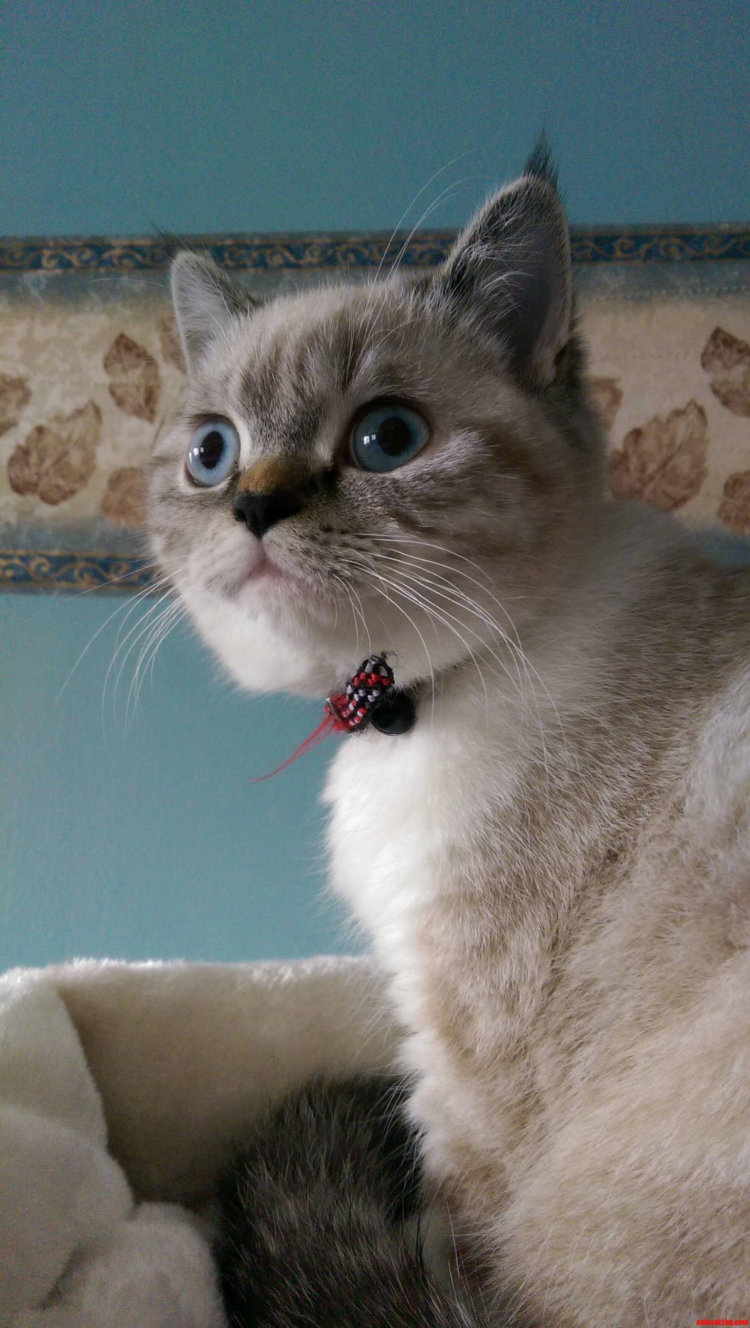 Shes Cute. Even with a Lazy Eye.