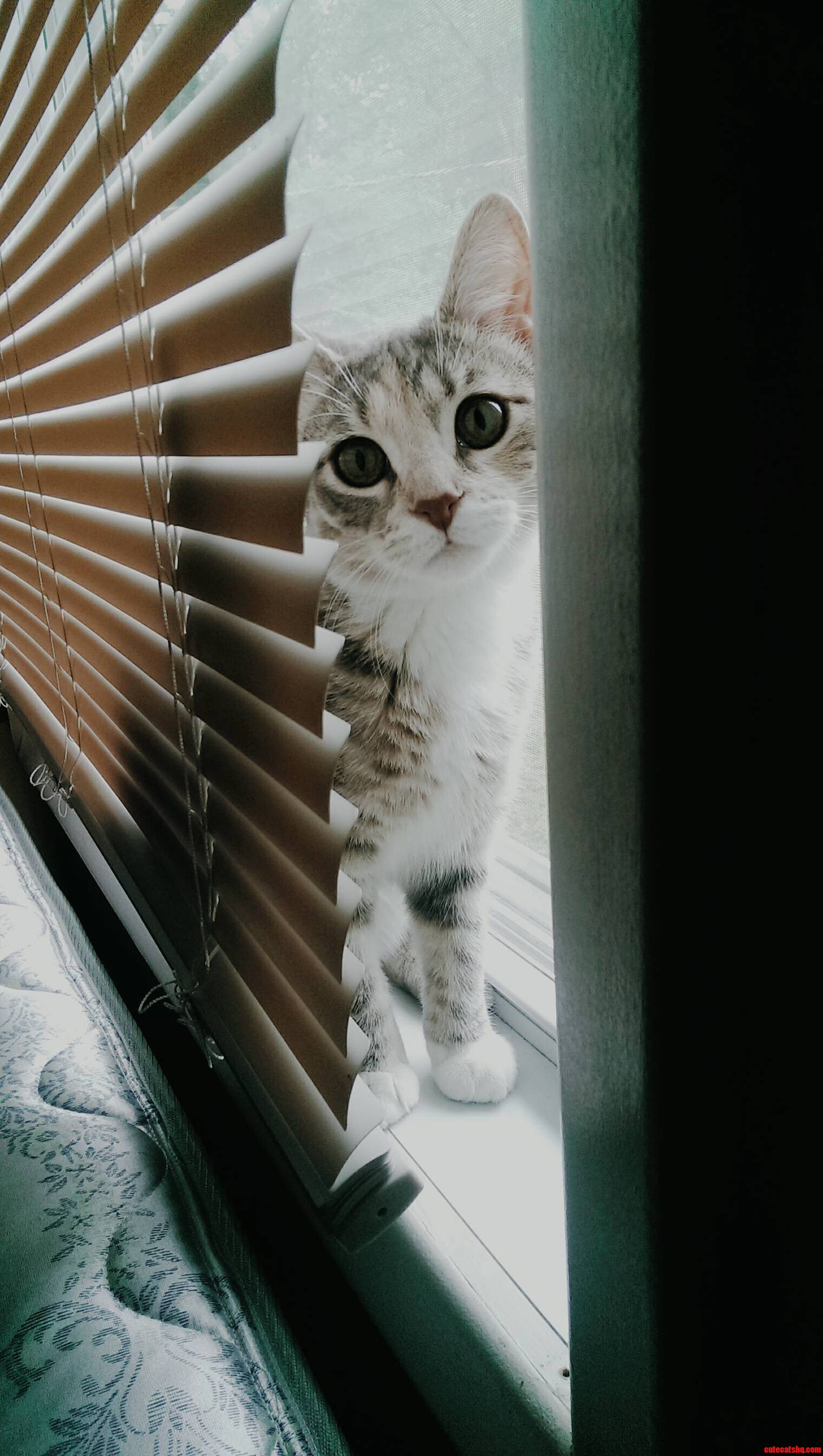 Shes Gotten Me Through Some Lonely Days at College. This Is Opal.