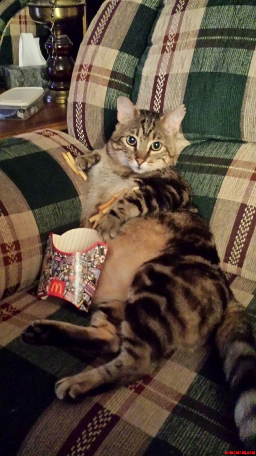 Shit My Aunt Does to Her Cat.
