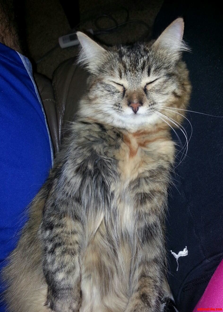 Sleeping Between Her Mom and Dad
