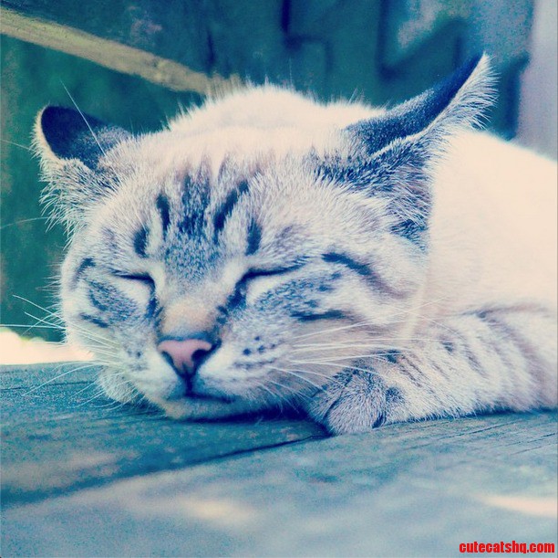 Sleepy