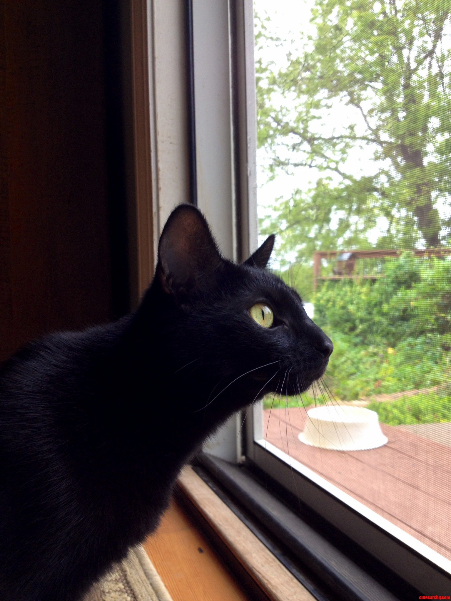 Sometimes I Wonder What She Sees That I Can T.
