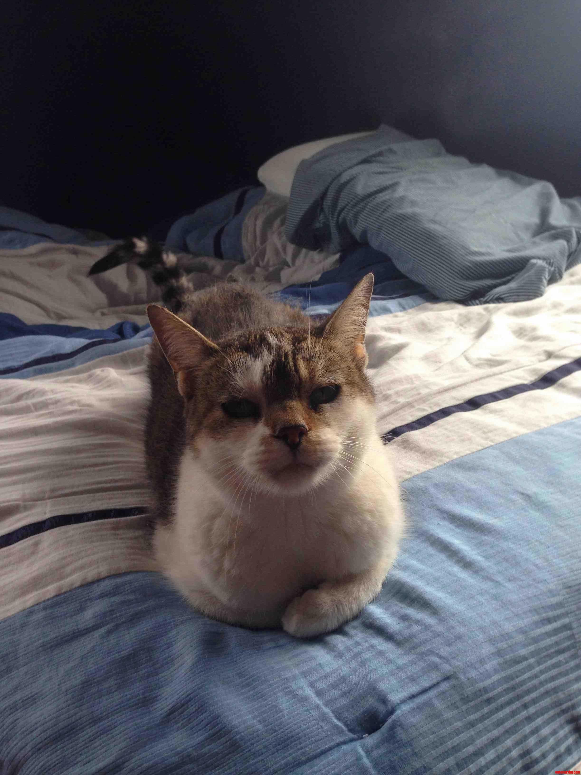 Sometimes She Can Be Cute