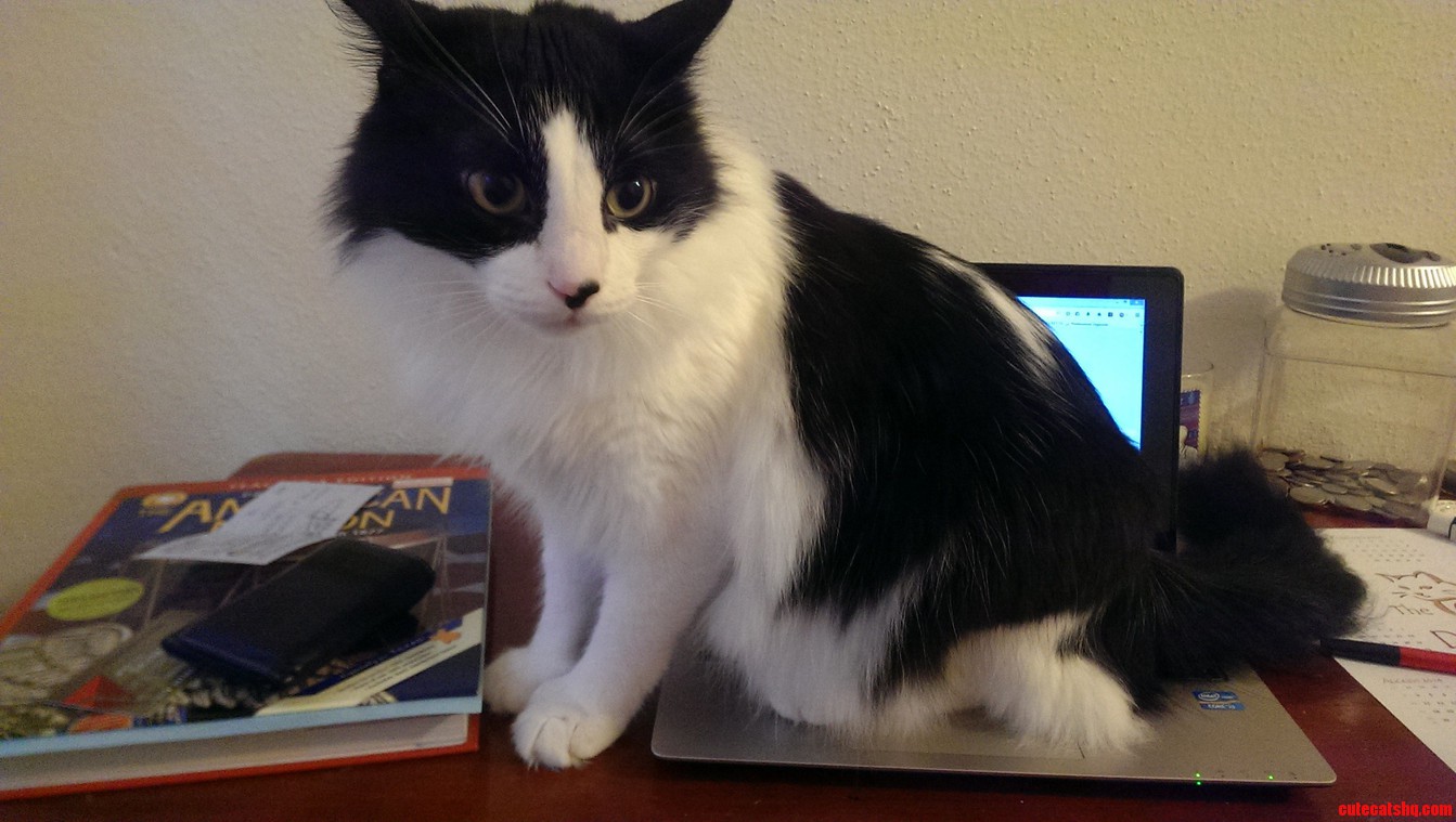 Sorry Were You Using That