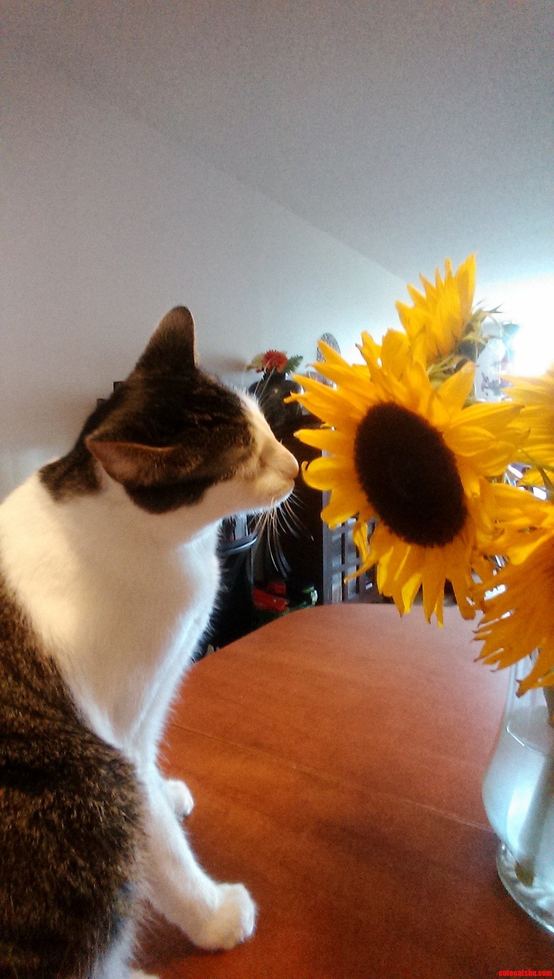 Stopping to Smell the Flowers