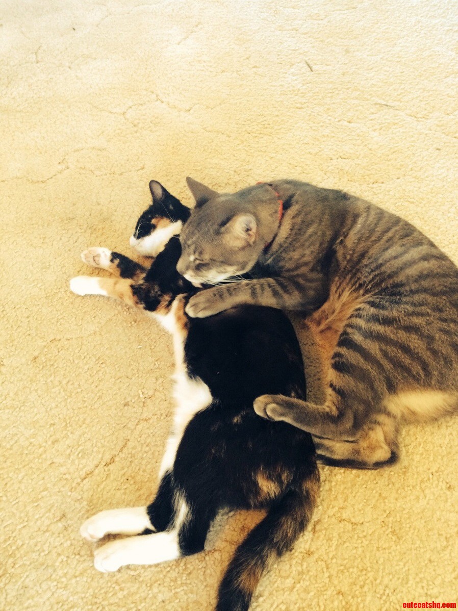 The Kids