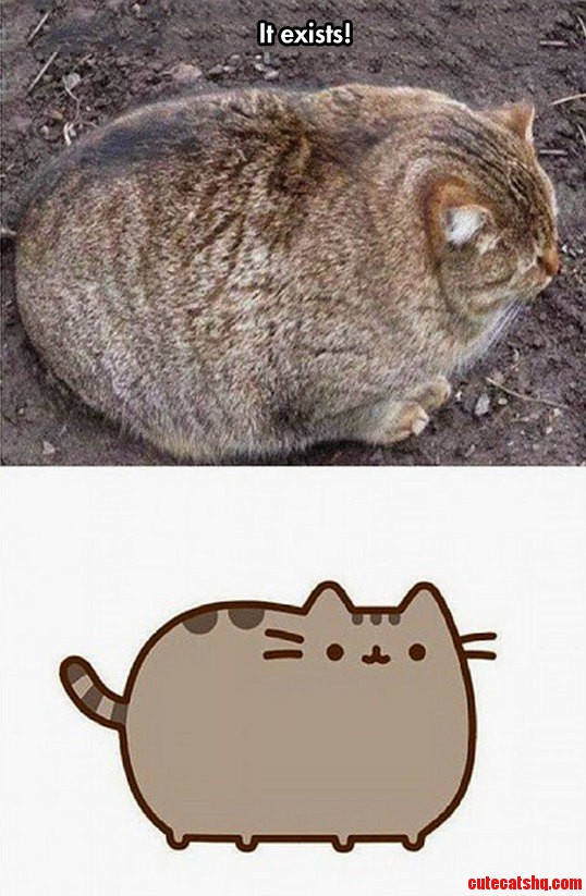 The Real Pusheen
