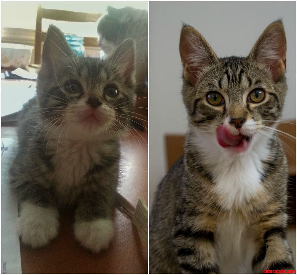 They Grow Up So Fast Meet Benjamin
