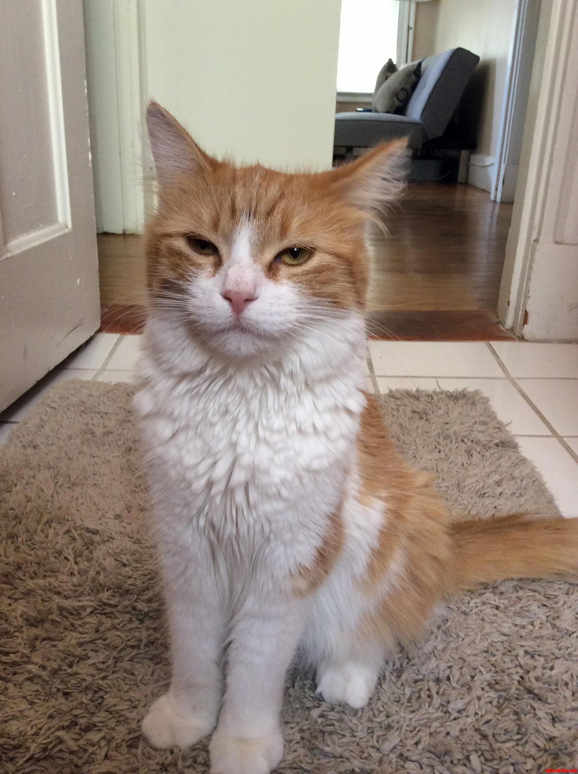 This Is Emersons Not Amused Face.