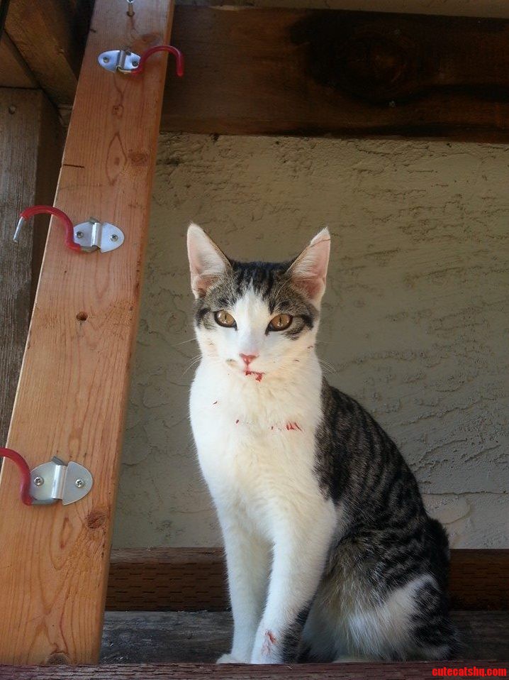 This Is His I Took Care of It...you Dont Want to Know. Face