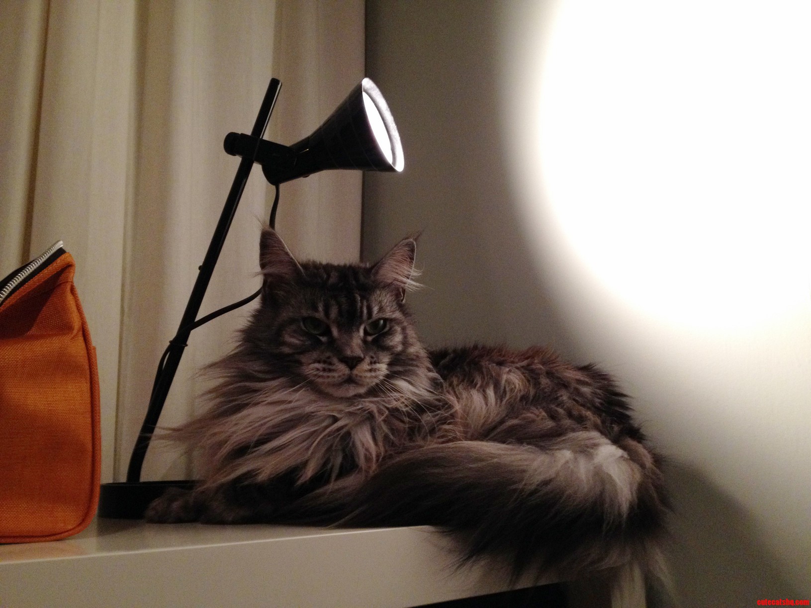 This Is Kiti
