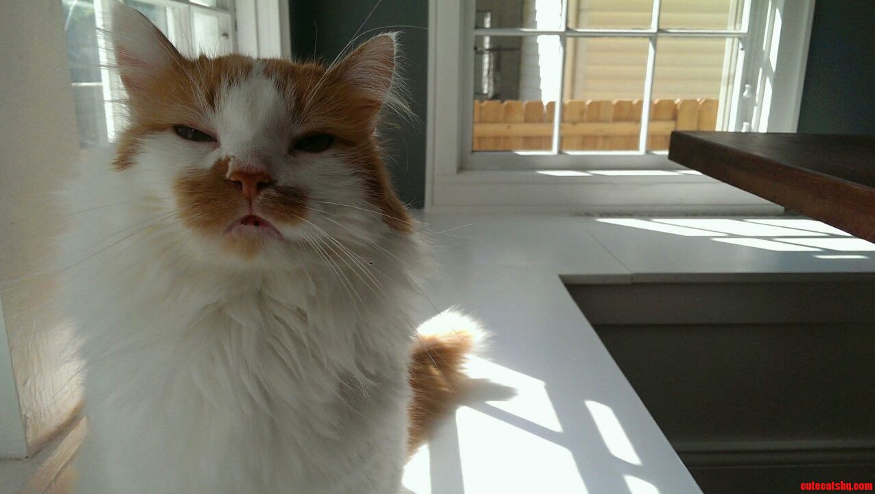 This Is Murph. I Love Murph.