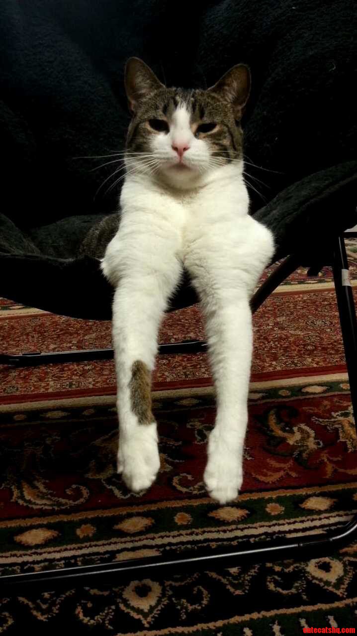 This Is Tilly. Shes Very Serious..