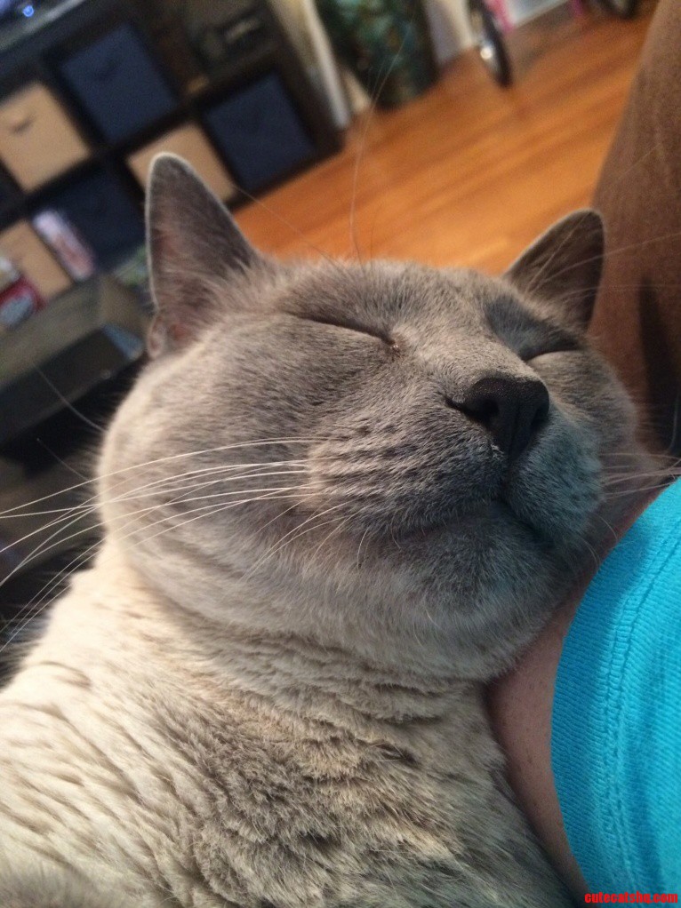 This Is What Happiness Looks Like...