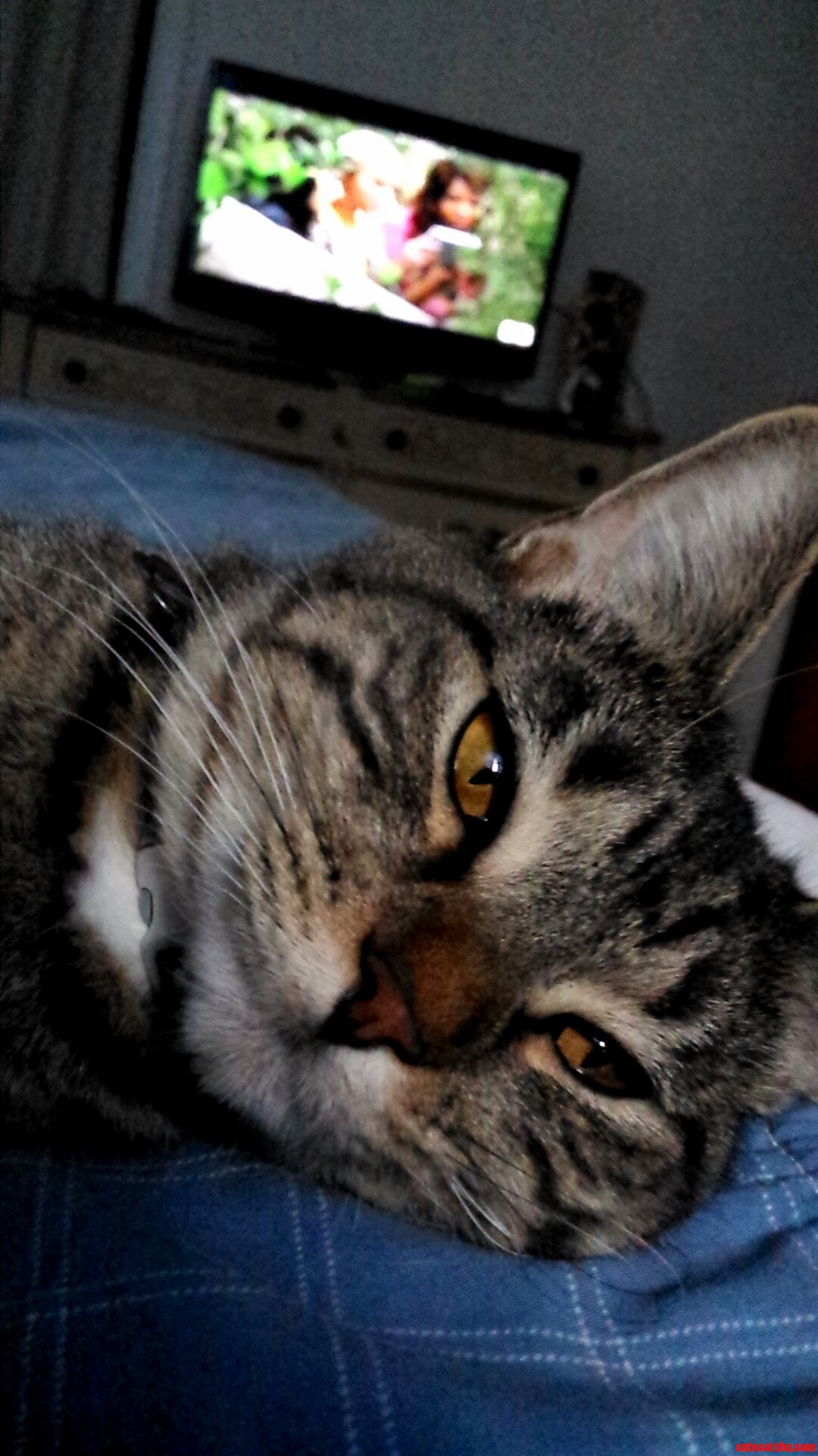 Those Eyes