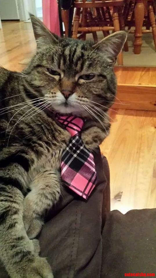 Tink Feeling Important and Pleased.....