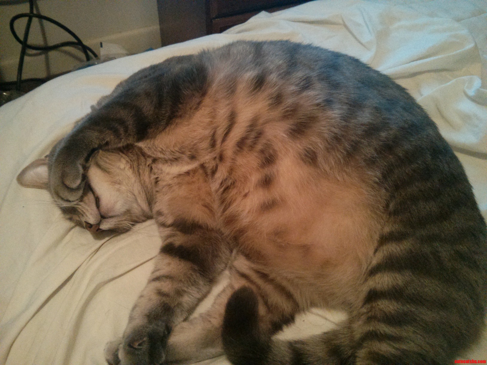 Today Has Been an Exhausting Day for Hercules