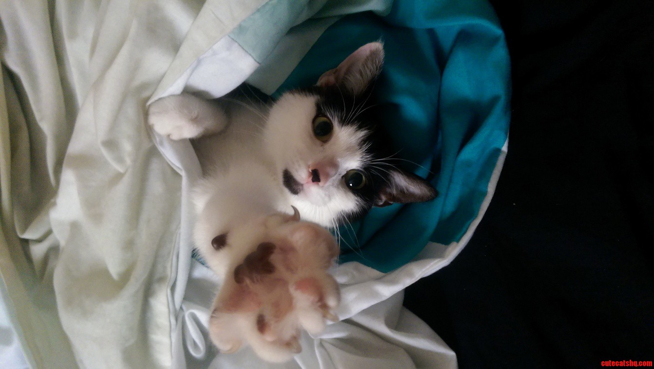 Under the Duvet Reaching for the Stars