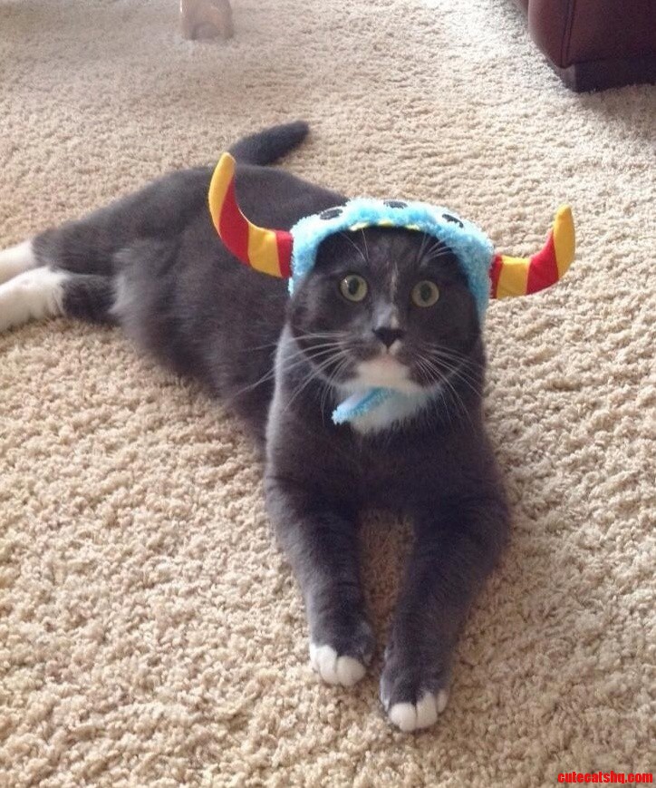 Waffles Halloween Monster Hat