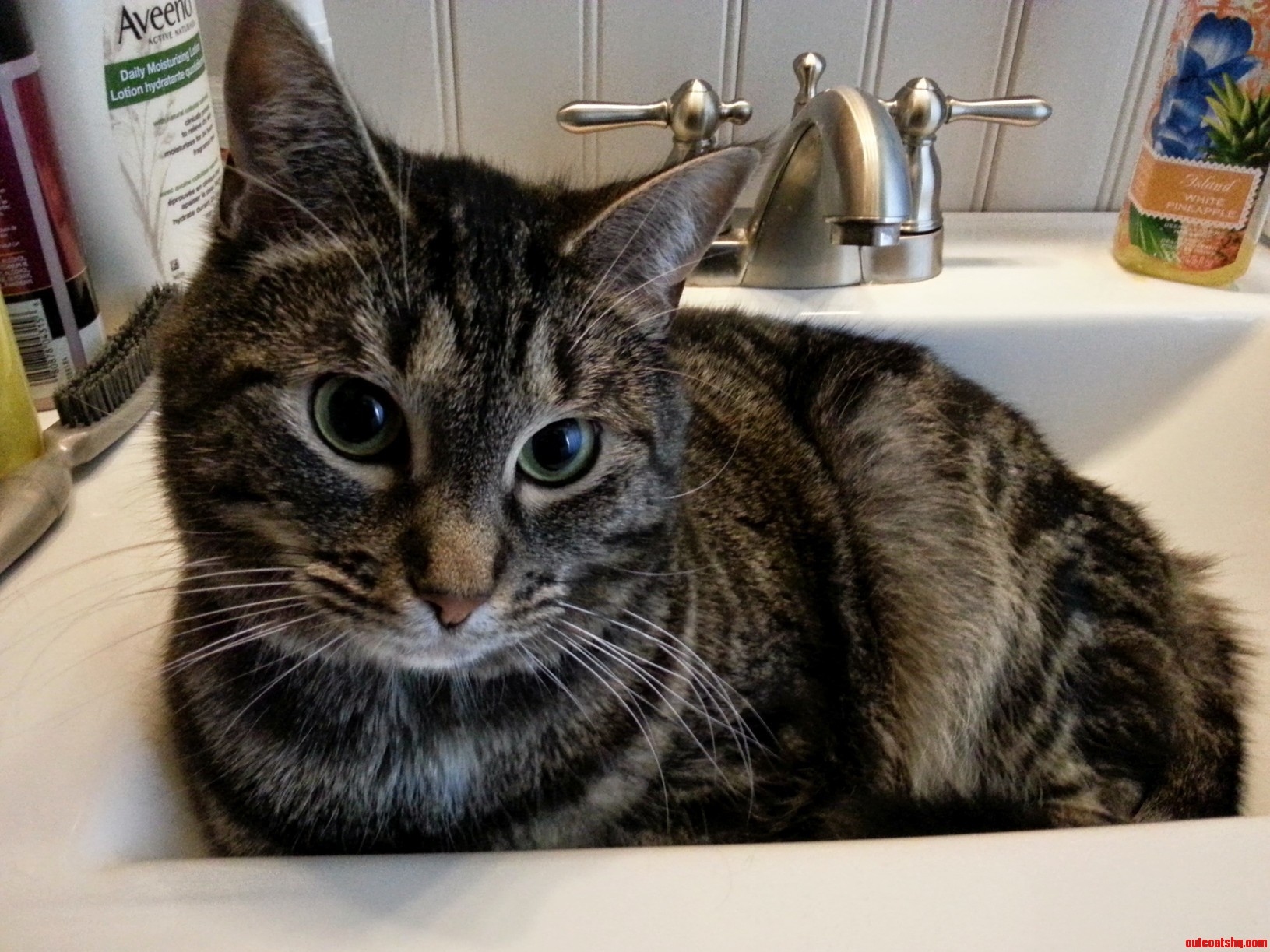 What Do You Mean You Want to Wash Your Hands in My Bed