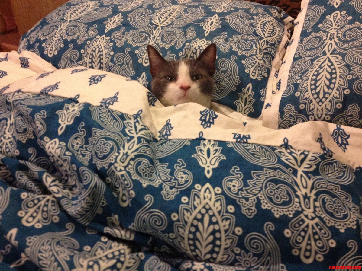 When I Caught Him He Just Blinked and Didnt Move an Inch.