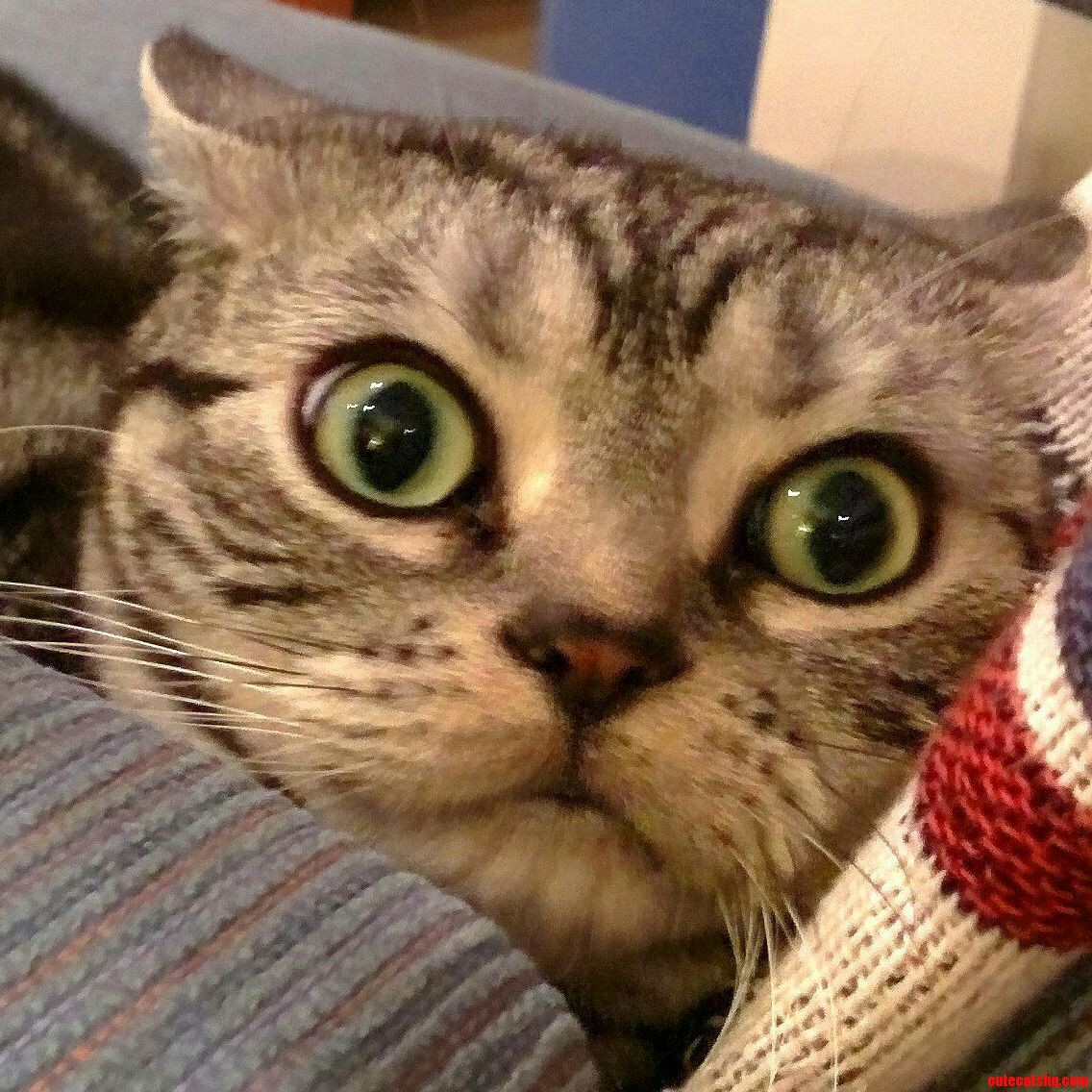 Where Will You Be When the Drugs Kick in