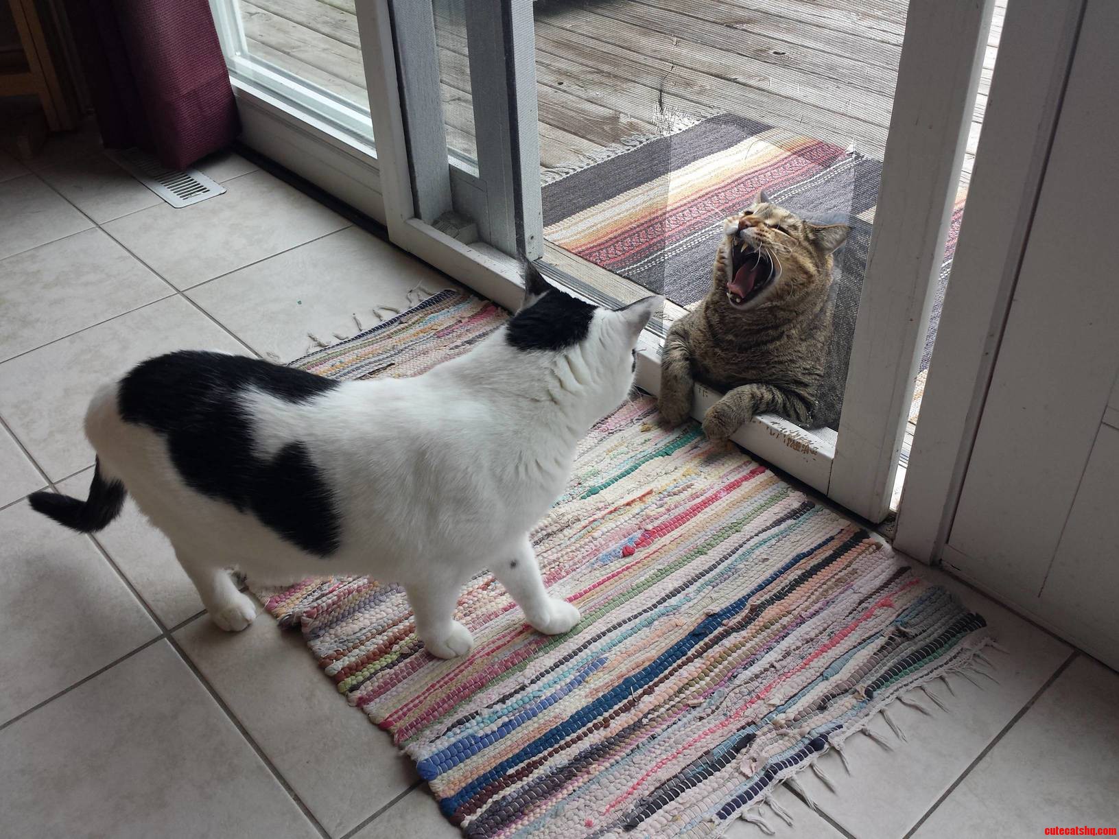 You. Shall. Not. Pass.